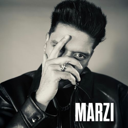 MARZI Poster