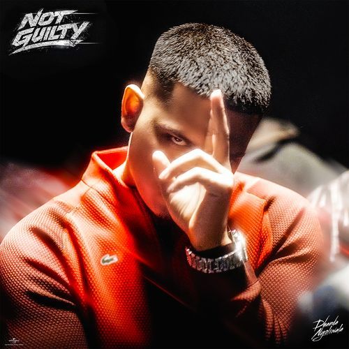 Not Guilty Poster